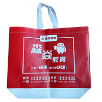 遂宁LB37培训班广告袋